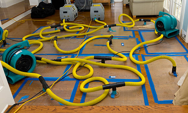 Professional Water Damage Restoration technician working in Palmyra, TN